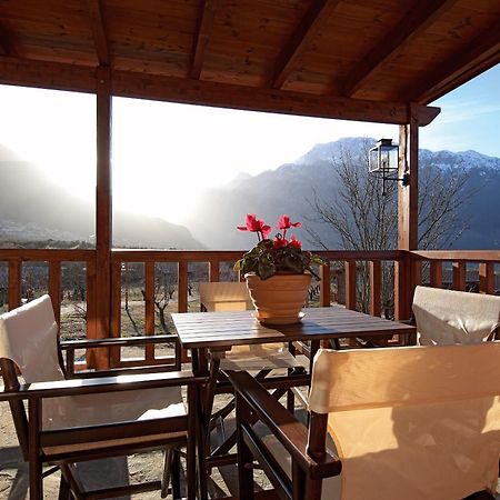 Villa Rustica Konitsa Esterno foto