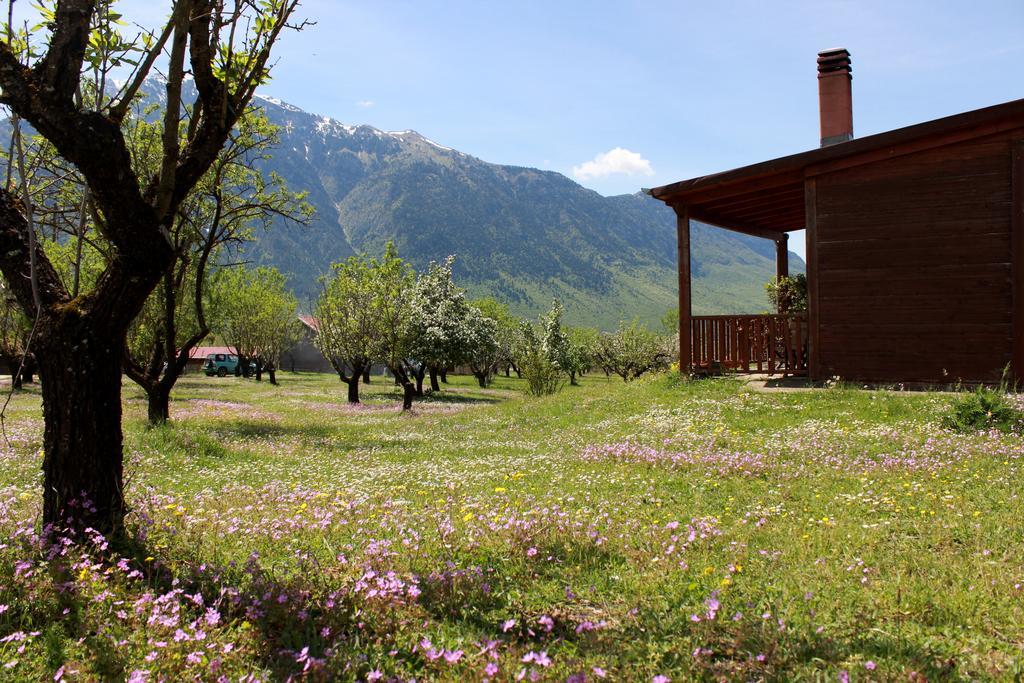 Villa Rustica Konitsa Esterno foto