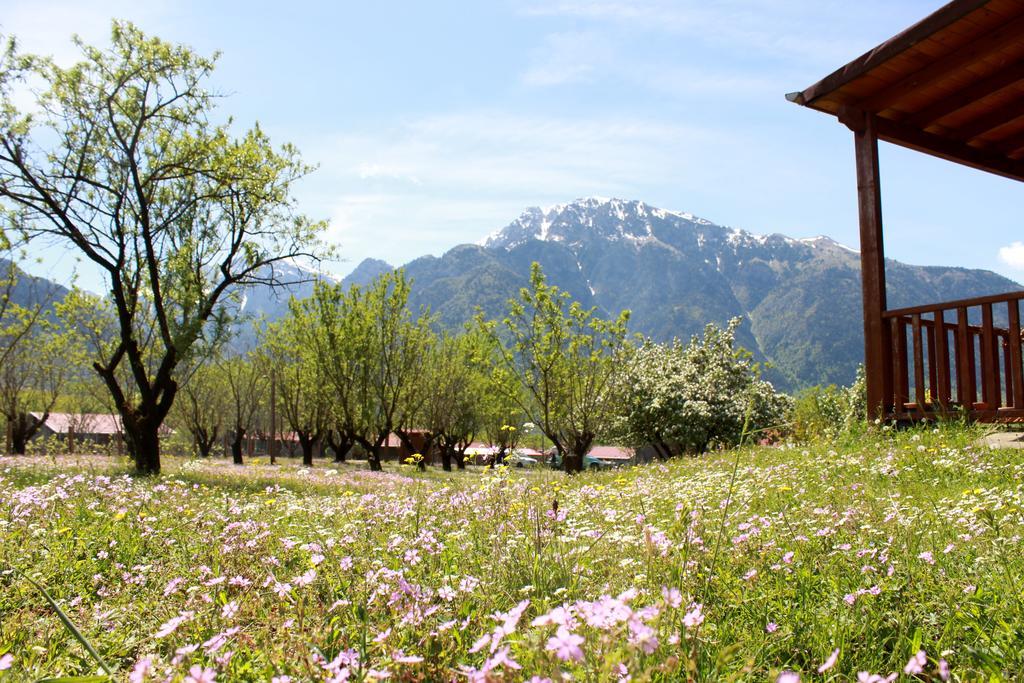 Villa Rustica Konitsa Esterno foto