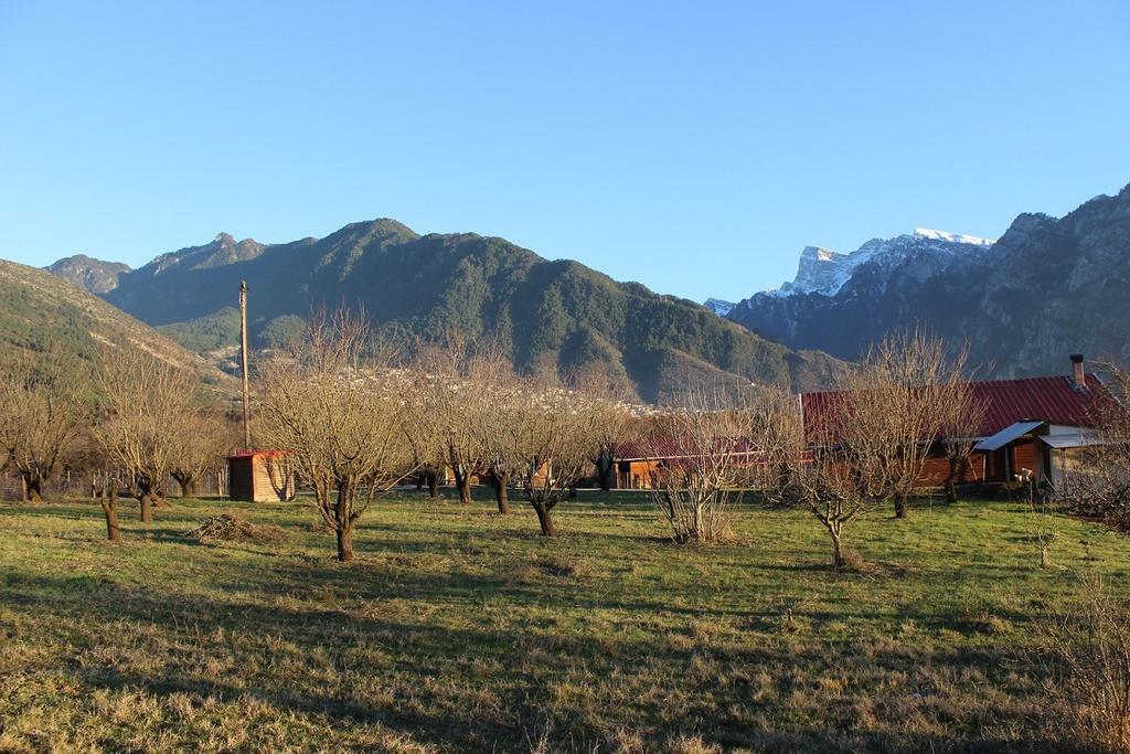 Villa Rustica Konitsa Esterno foto
