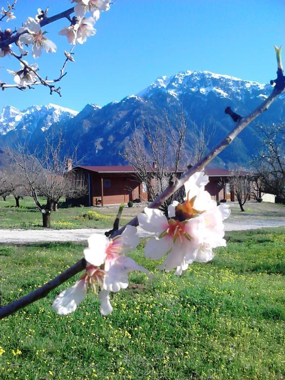Villa Rustica Konitsa Camera foto