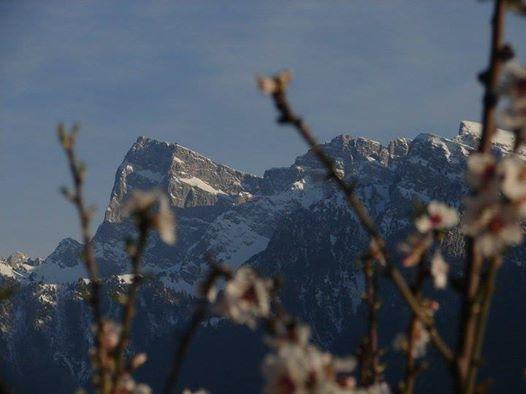 Villa Rustica Konitsa Esterno foto