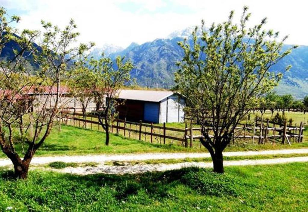 Villa Rustica Konitsa Esterno foto