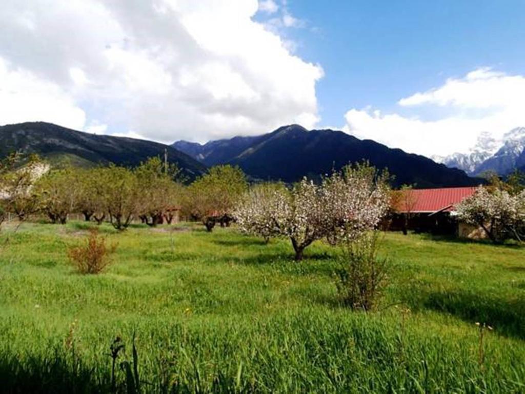 Villa Rustica Konitsa Esterno foto