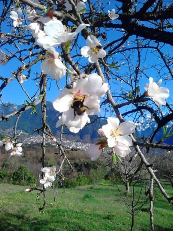 Villa Rustica Konitsa Esterno foto