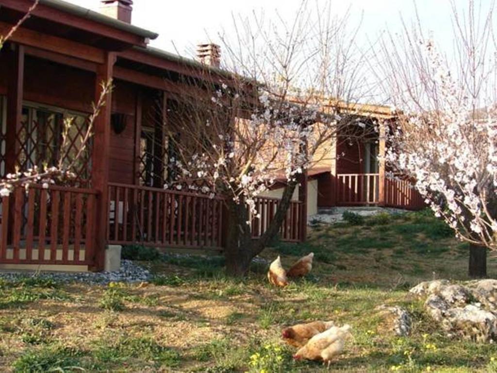 Villa Rustica Konitsa Camera foto