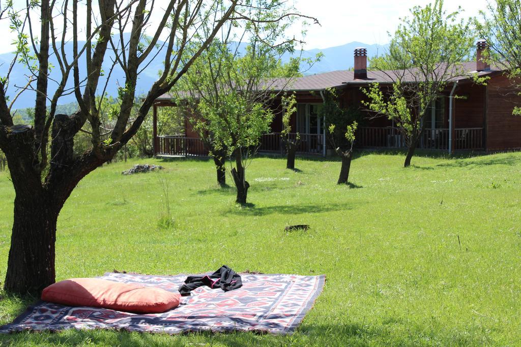 Villa Rustica Konitsa Esterno foto
