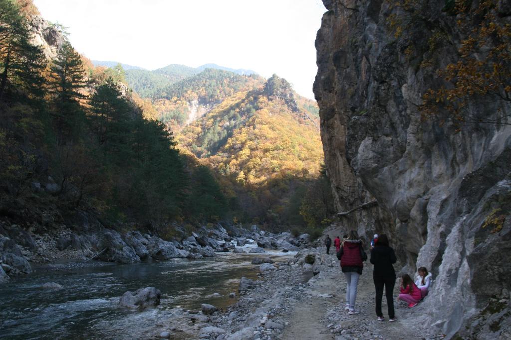 Villa Rustica Konitsa Esterno foto