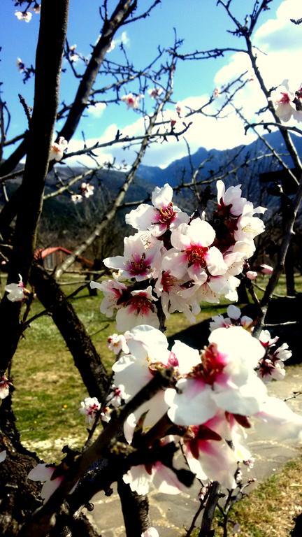 Villa Rustica Konitsa Esterno foto