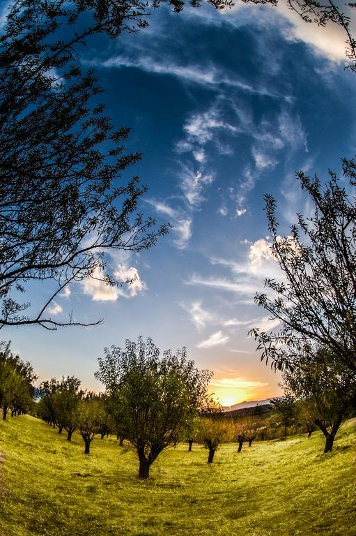 Villa Rustica Konitsa Esterno foto